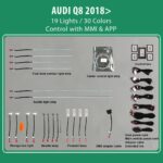 DIQ AMBIENT HC-AD12-WX RGB (Digital iQ Ambient Light for Audi Q8 mod. 2018+ with 19 Lights)